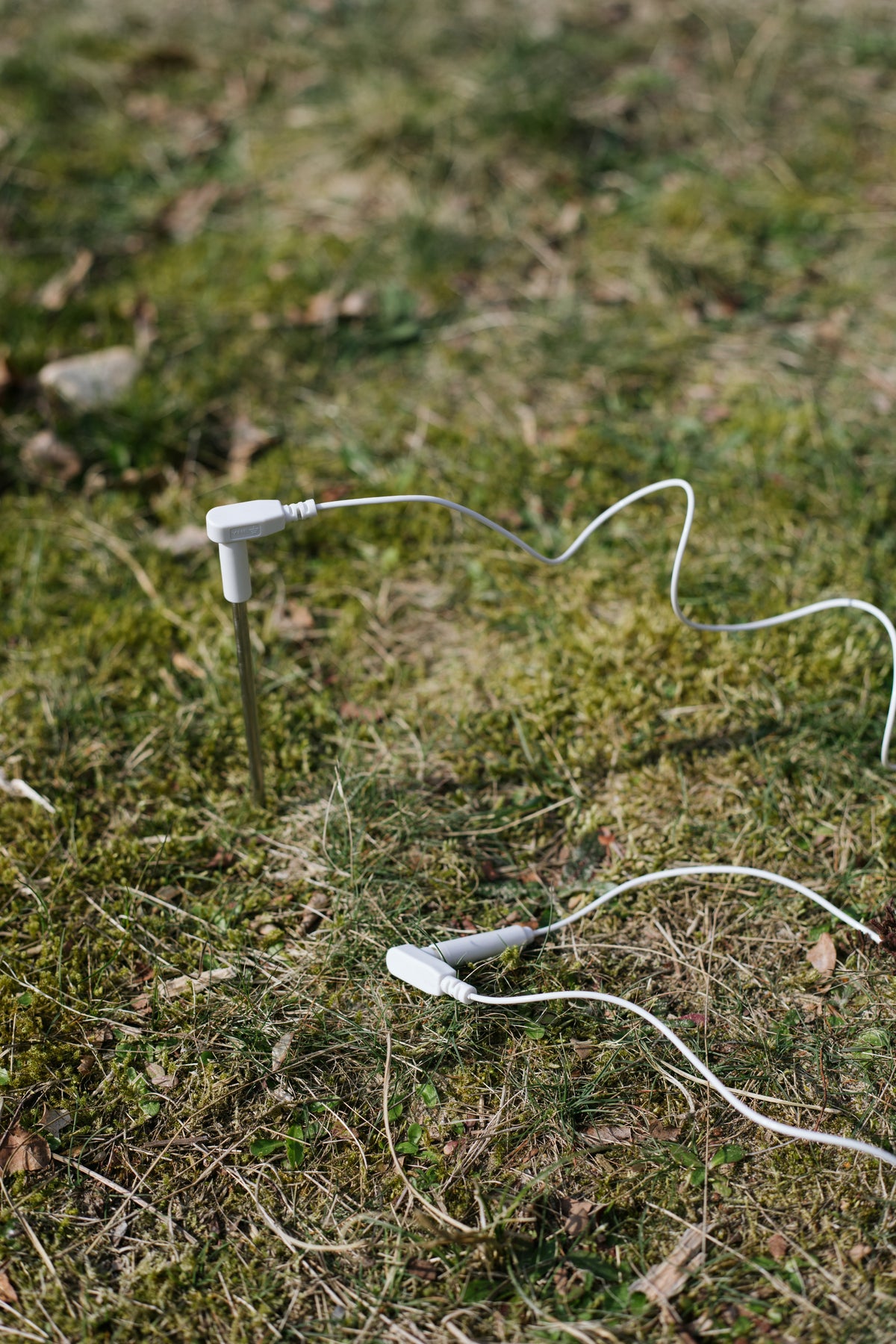 Earthle Erdungsstab im Gras mit angeschlossenem Erdungskabel