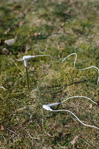 Earthle Erdungsstab im Gras mit angeschlossenem Erdungskabel